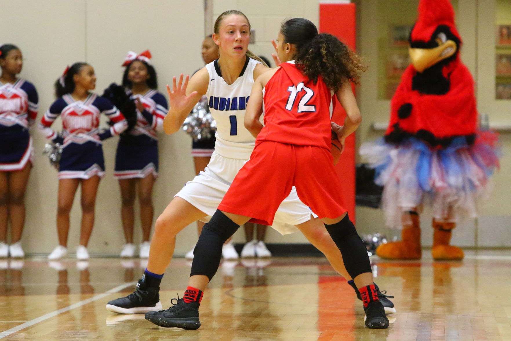 Gallery: Girls Basketball Sectional Finals - E.C. Central vs. Lake Central
